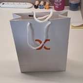 Air India Paper Bag